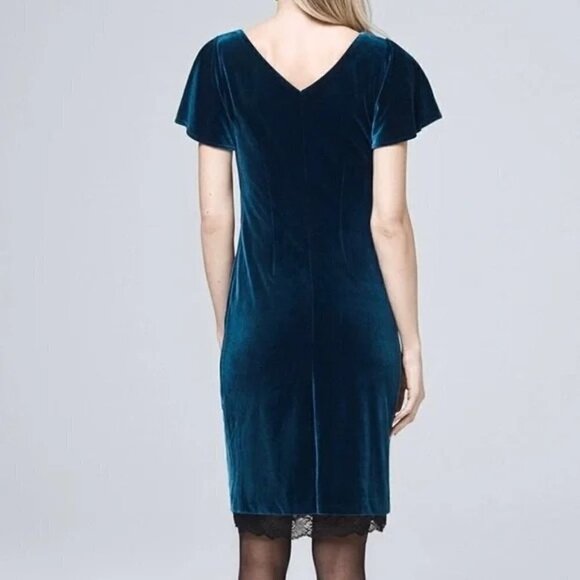 White House Black Market Petite Blue Velvet Flutter Short Sleeve Shift Dress XSP - Picture 2 of 7